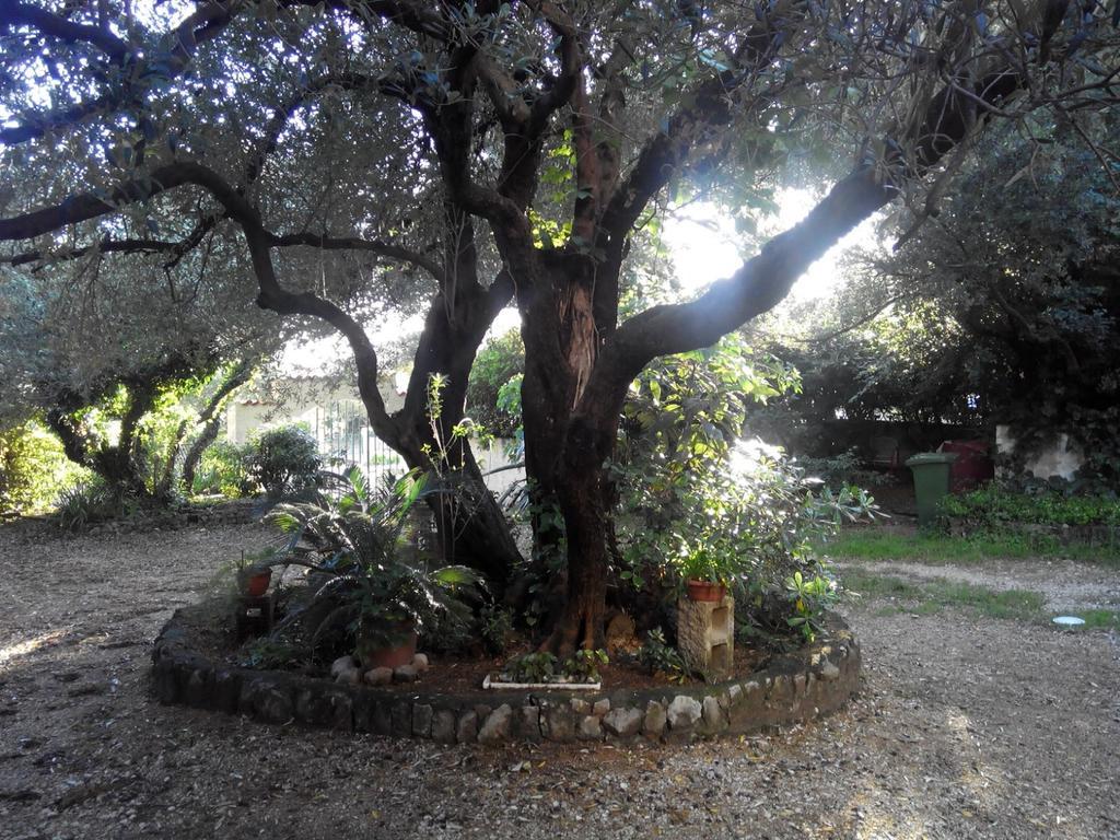 Daniela Apartamento Makarska Exterior foto