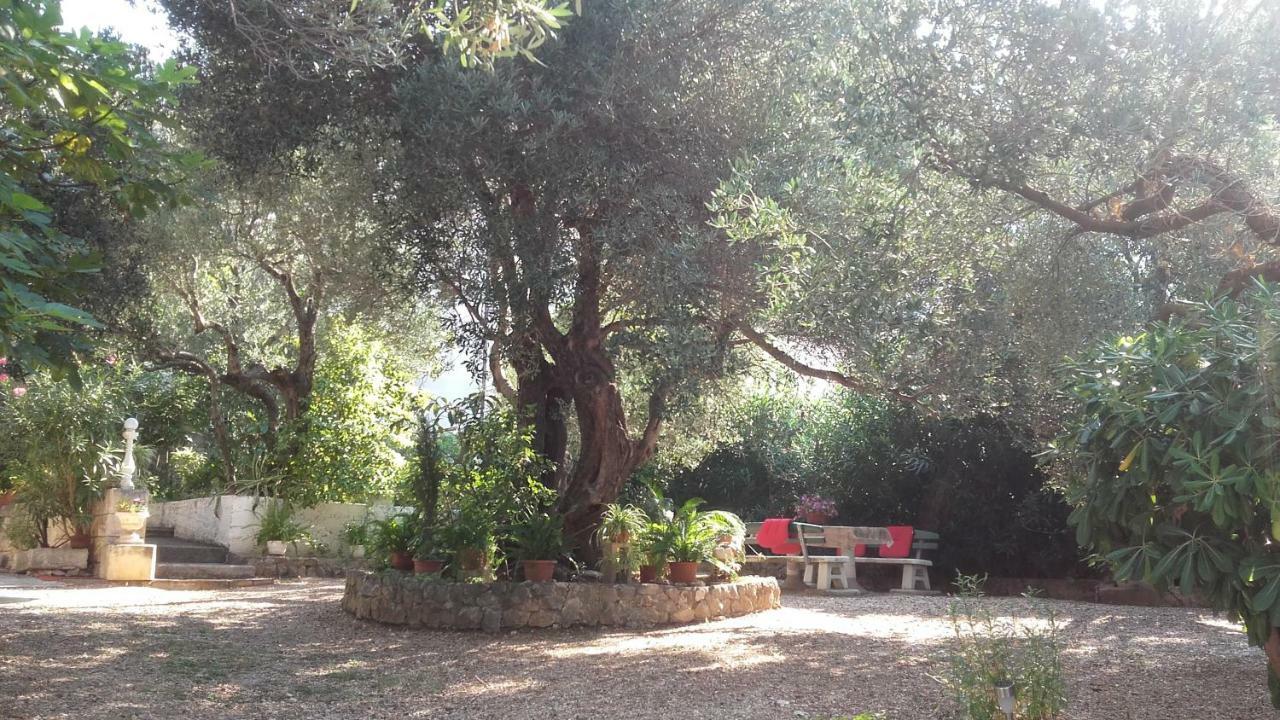 Daniela Apartamento Makarska Exterior foto
