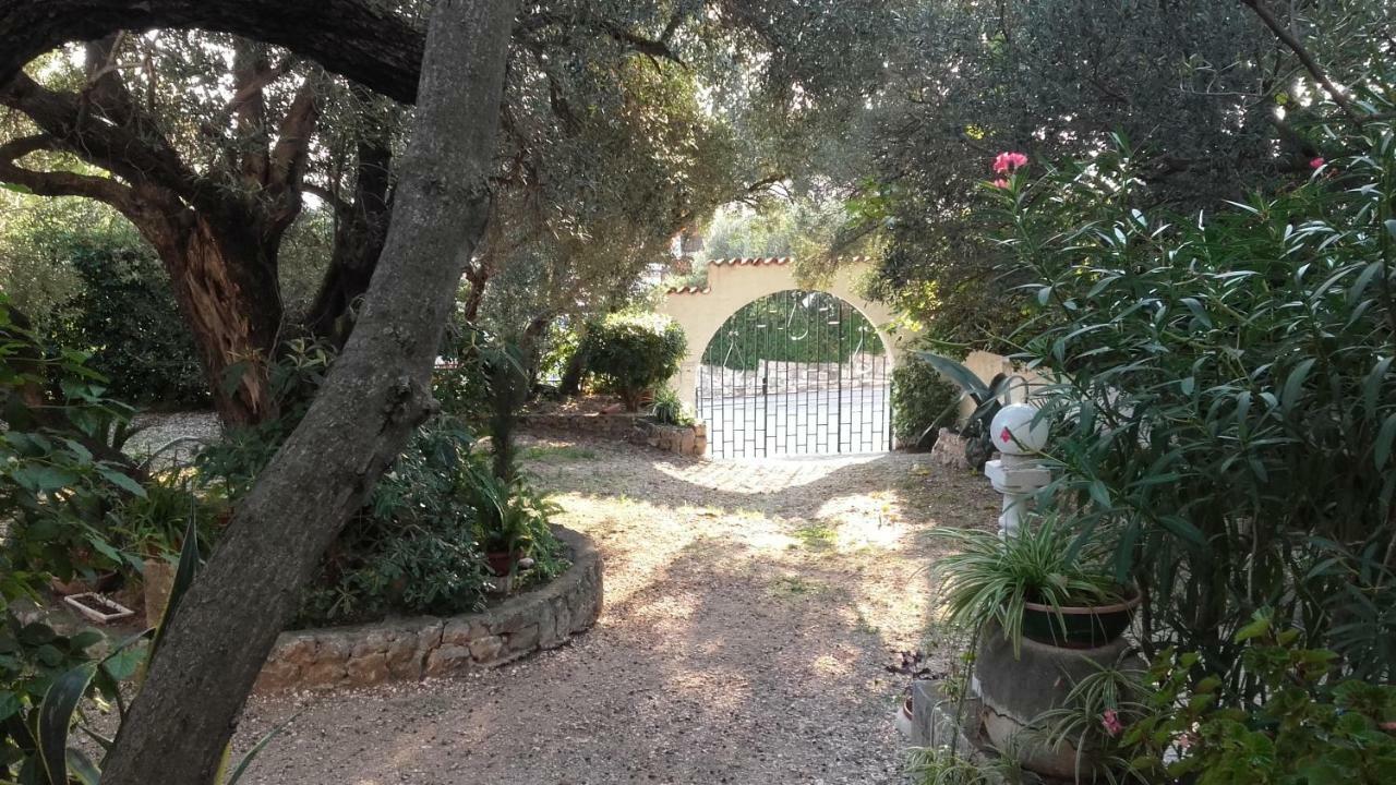 Daniela Apartamento Makarska Exterior foto