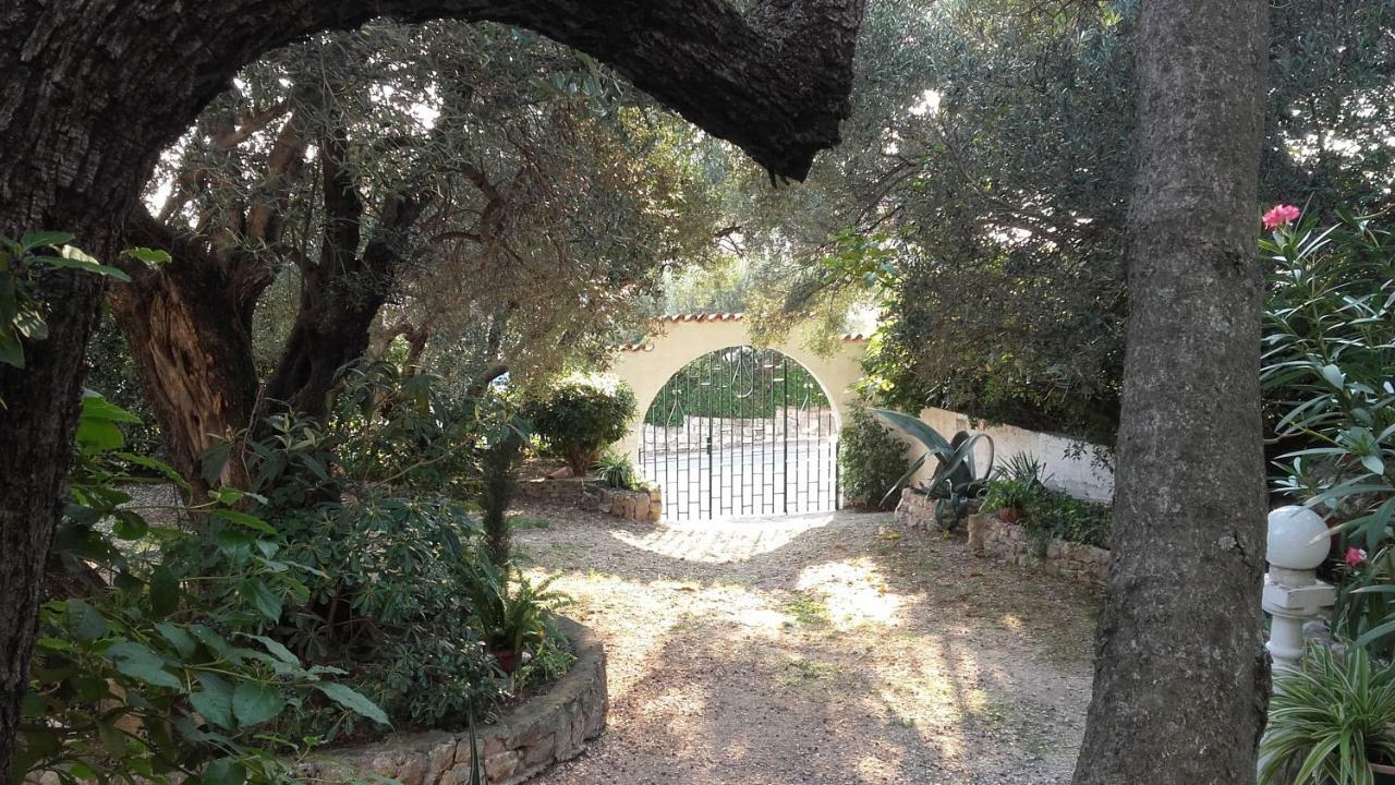 Daniela Apartamento Makarska Quarto foto
